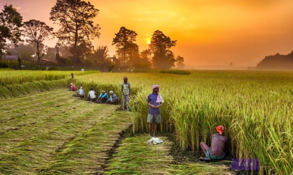 My Daily Life of Farming in the World of Cultivation